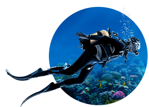 diving menjangan island(1)