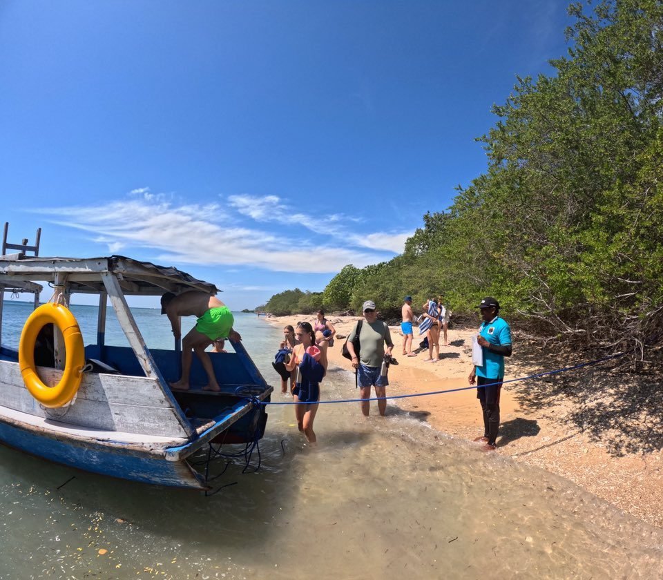 Guests swimming above the reef at Menjangan Island