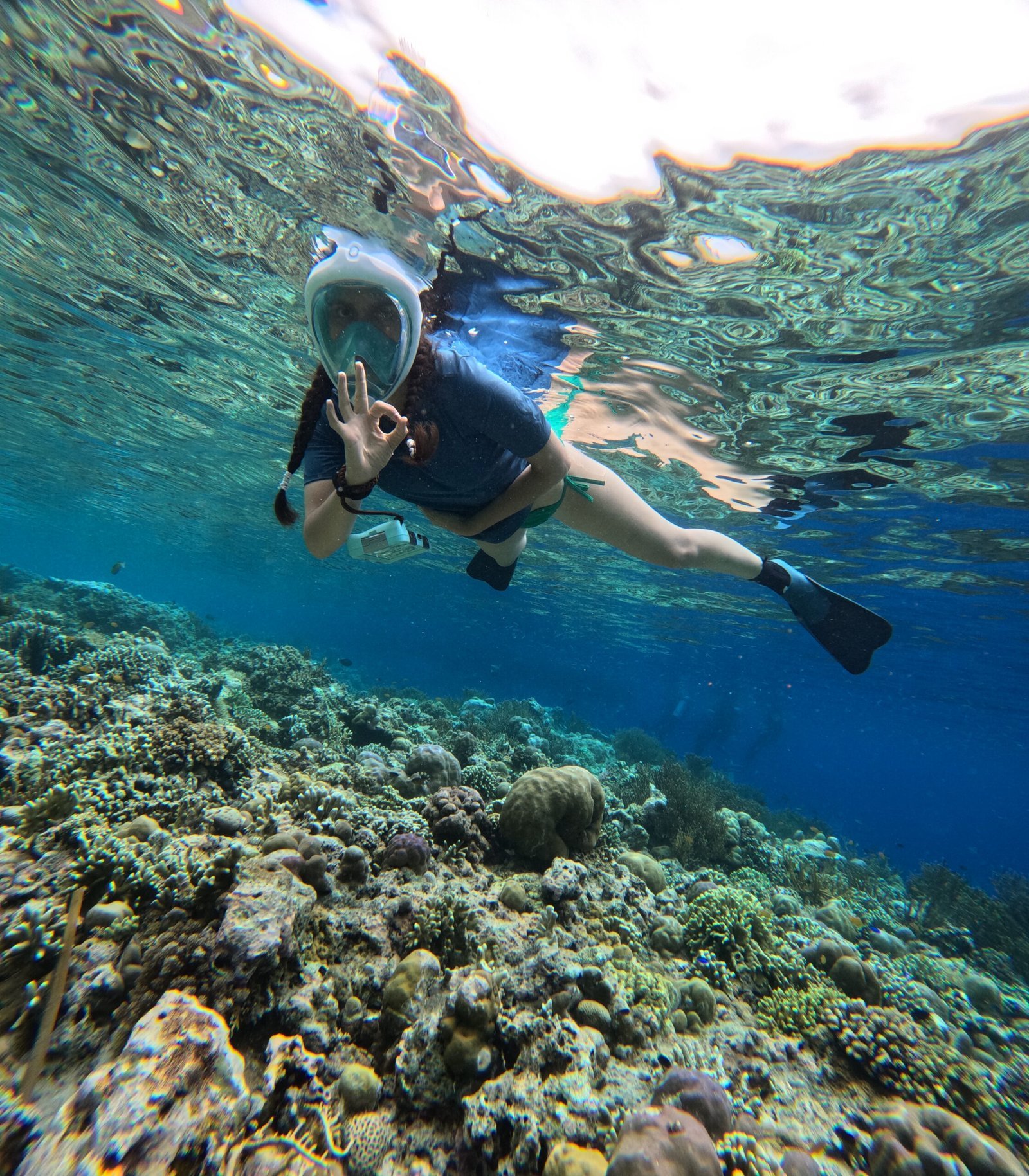Underwater view of tropical fish at Menjangan Island