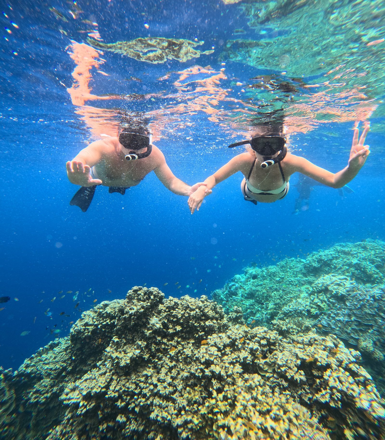 Snorkeler in clear water off Menjangan Island