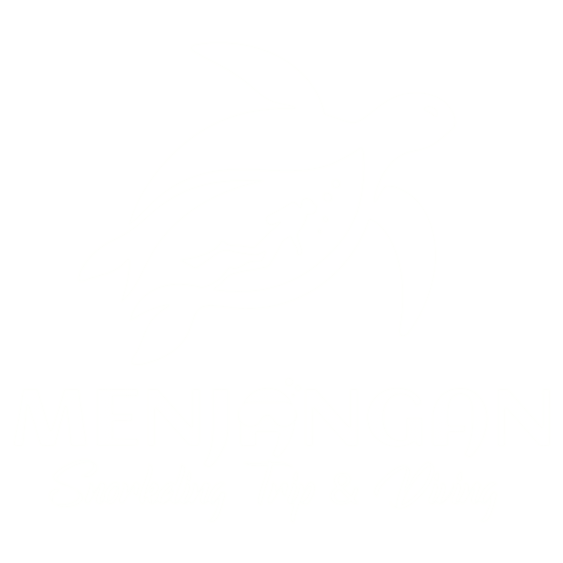 Menjangan Snorkeling Trip & Diving