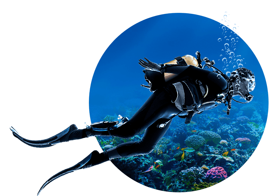 Scuba diver over the coral reef at Menjangan Island
